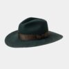 Green & Brown Felt Hat - Imagen 2