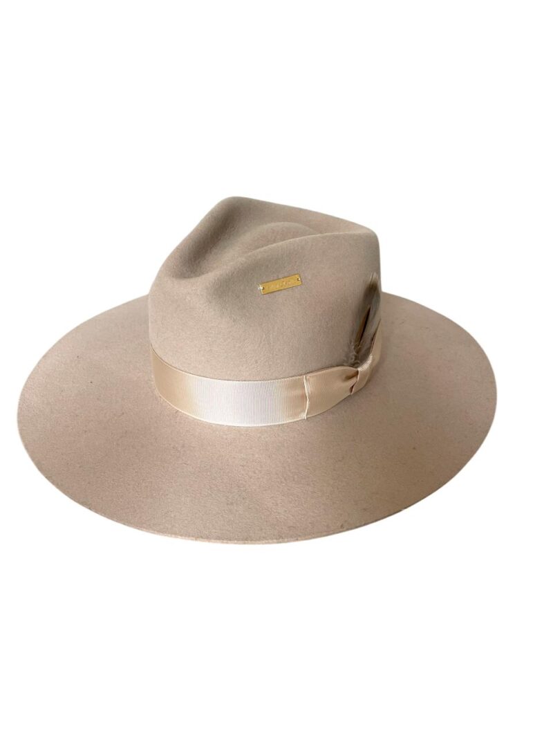 Arena felt hat