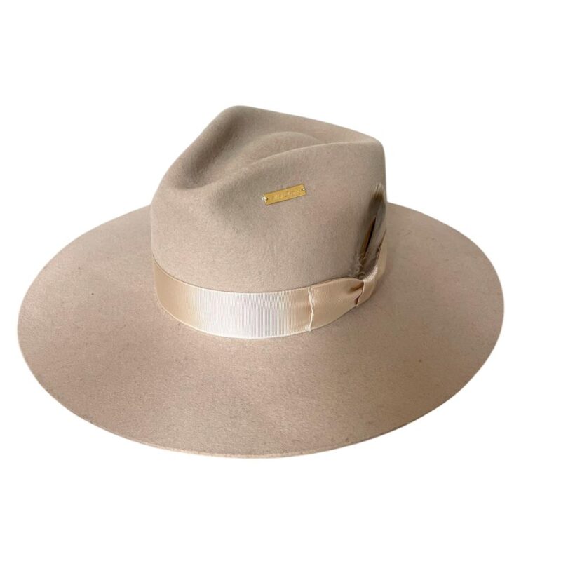 Arena felt hat